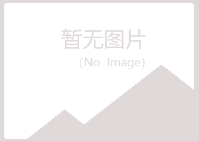 长治治城紫山服务有限公司